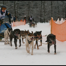 czech cup 2009