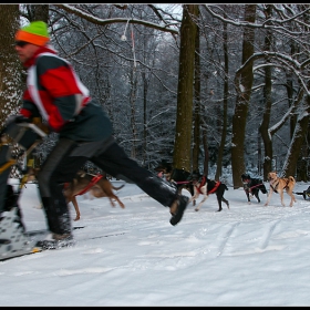 czech cup 2009