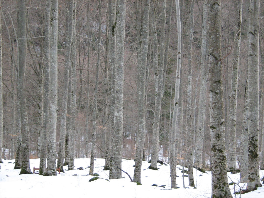 09.02.2009 год.