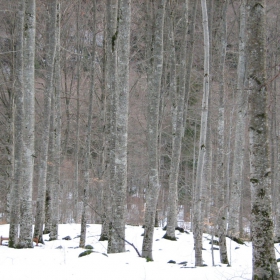 09.02.2009 год.