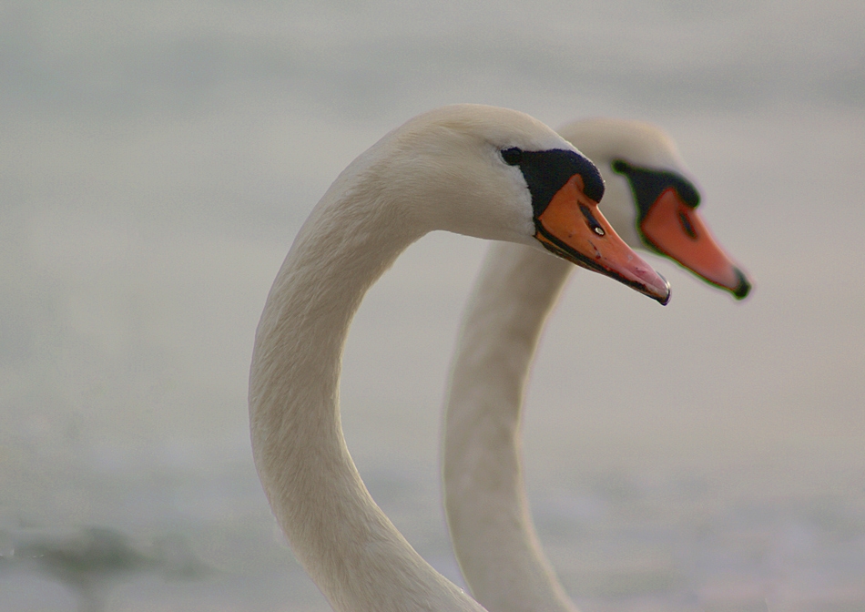 When two becomes one...