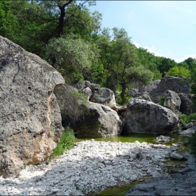 По пътя на реката, водеща към Вкаменената гора