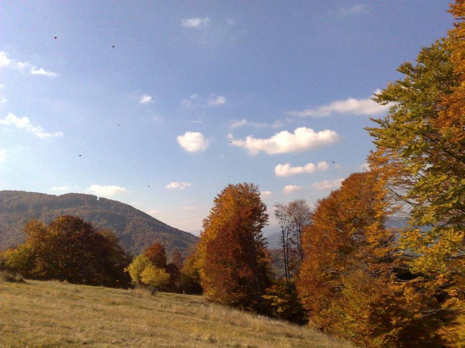пл.Осогово