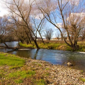 Ракево