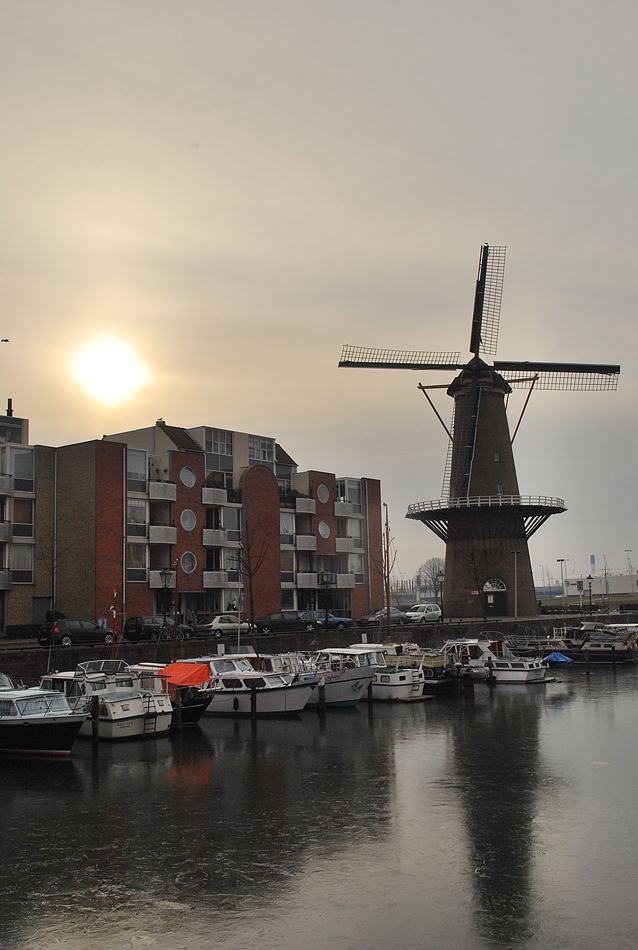 Good morning, Rotterdam!