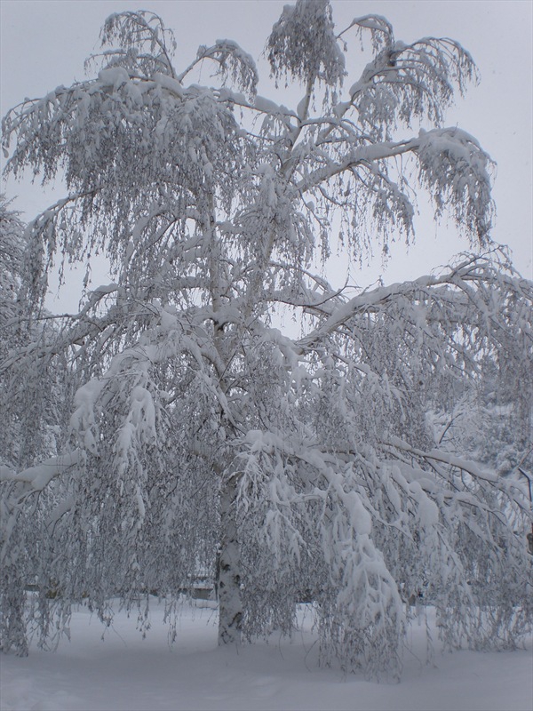Снимка без име