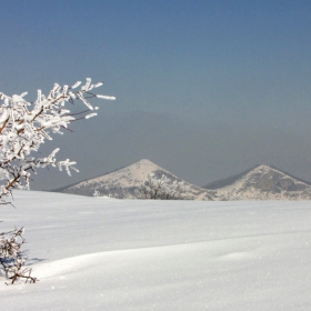 самотниче