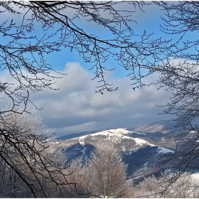 през пролуката