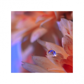 ~..RainSong..~