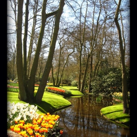 In Keukenhof