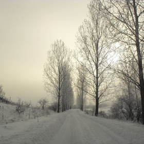 Заснежено