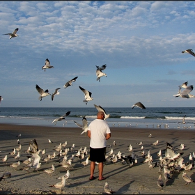 ..::How to feed the birds::..