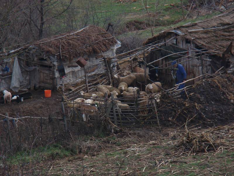 българин от старо време