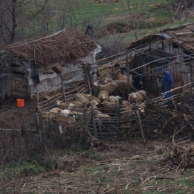 българин от старо време