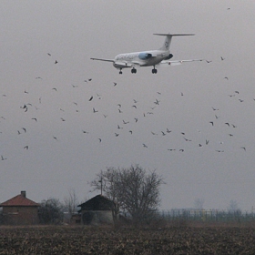 приземяване