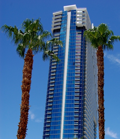 palms