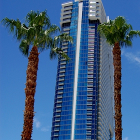 palms