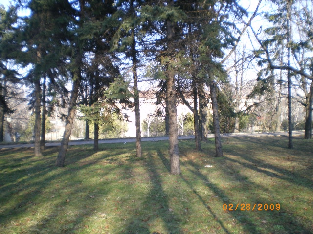 Сенки в парка