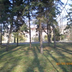 Сенки в парка