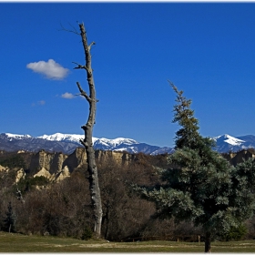 Melnik - Rojen