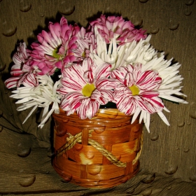 Снимка без име