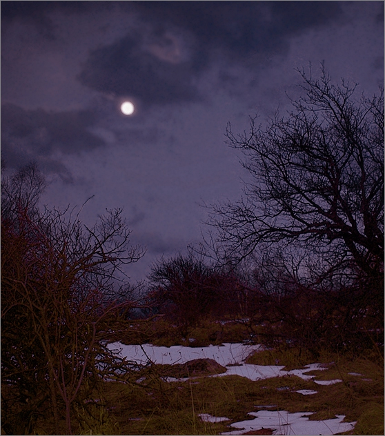 Violet Moon