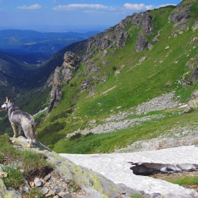 Несбъднати срещи