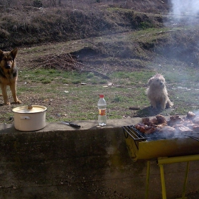 Снимка без име