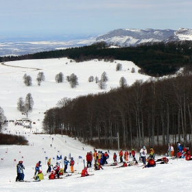 В очакване на старта /Пършевица 2009/