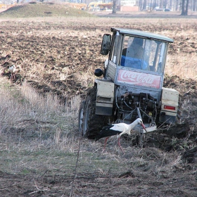 помощник