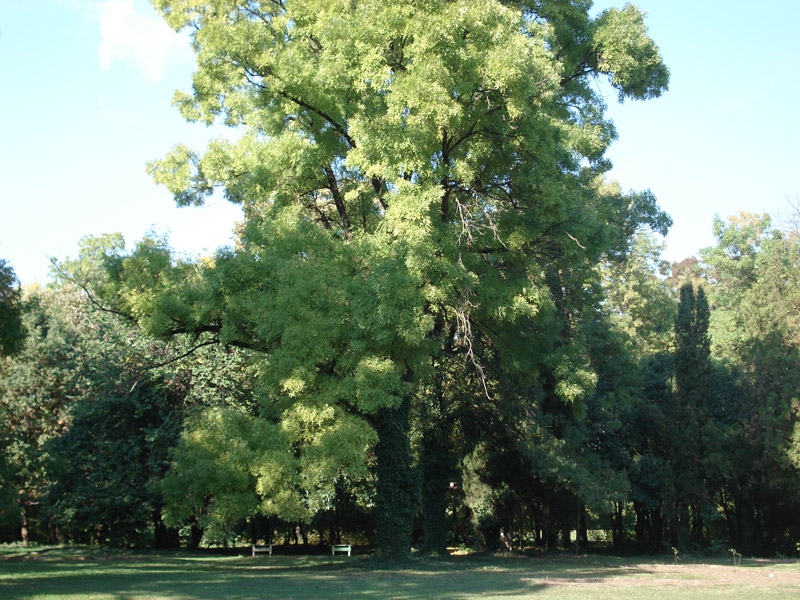 Morskata Gradina Varna