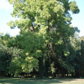 Morskata Gradina Varna