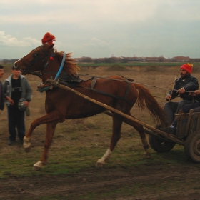 Път ми дай....и зоб!