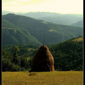 the point of view of a haystack