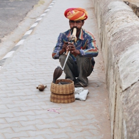 Muzika za vsichki,Rajasthan,India