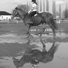 Horse (14. 3. 2008)