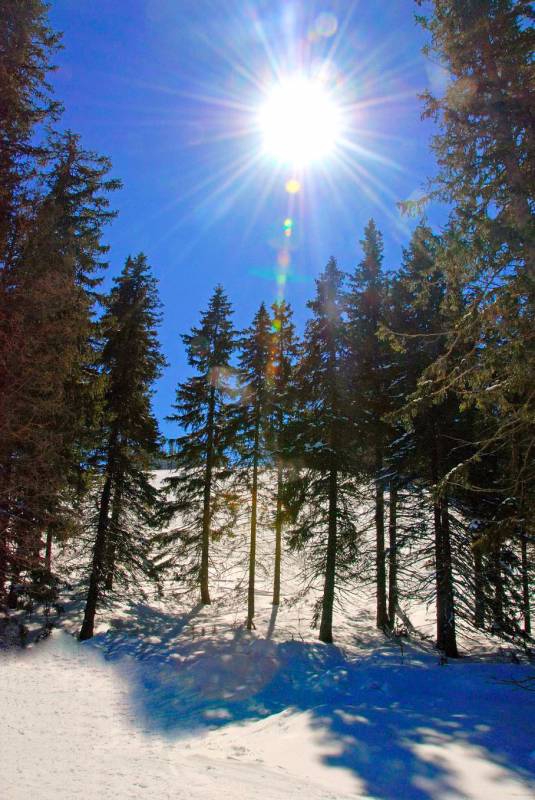 sunshine