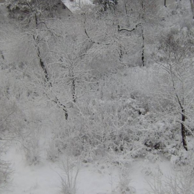 winter
