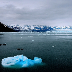 Hubbard Glacier/Glacier Bay, Alaska/2008