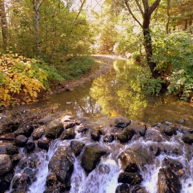 Есенно