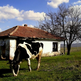 Същата