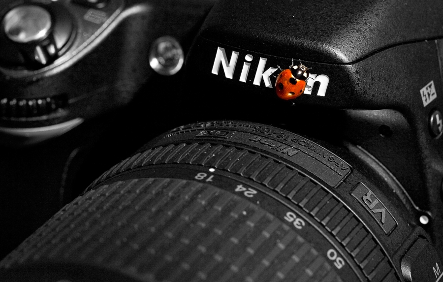 N I K O N