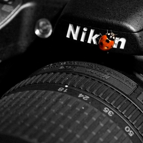 N I K O N