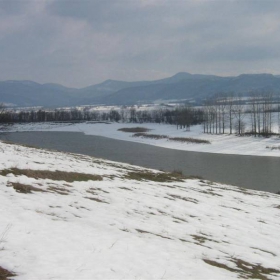 qzovira