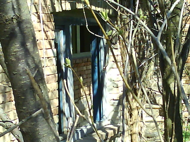  the hous