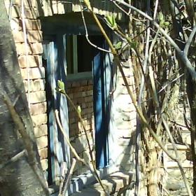  the hous