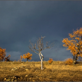 Златна есен