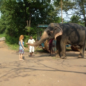 sreshta sus slonche,bhangwar national park,india