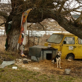 човешката доброта .......