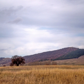 Самотно